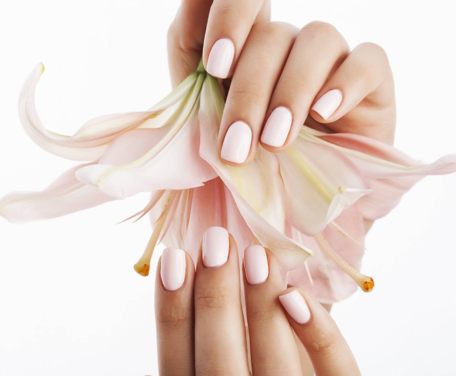 Formation ongles en porcelaine