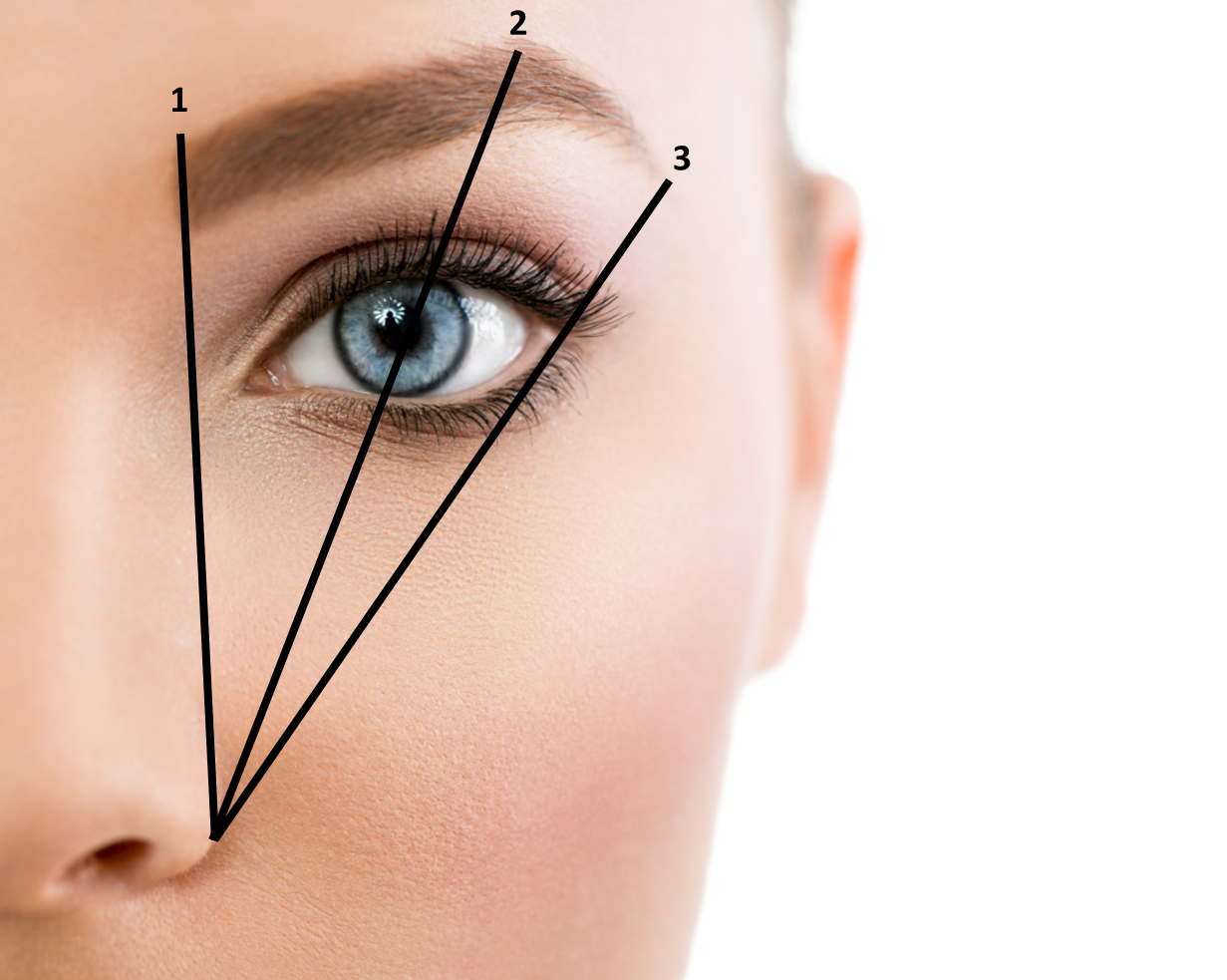 Formation restructuration de sourcils