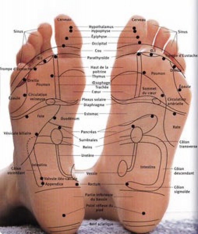 Formation initiation réfléxologie plantaire bien-être